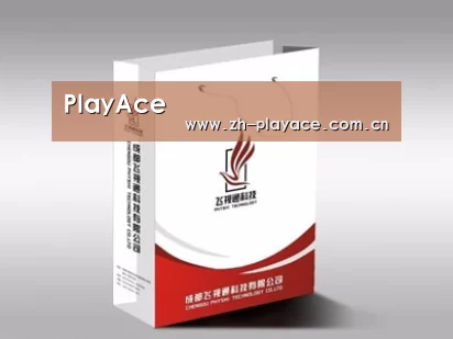 项目名称十三