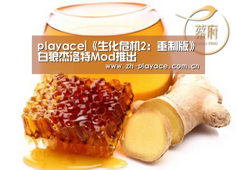 playace|《生化危机2：重制版》白狼杰洛特Mod推出(图1)